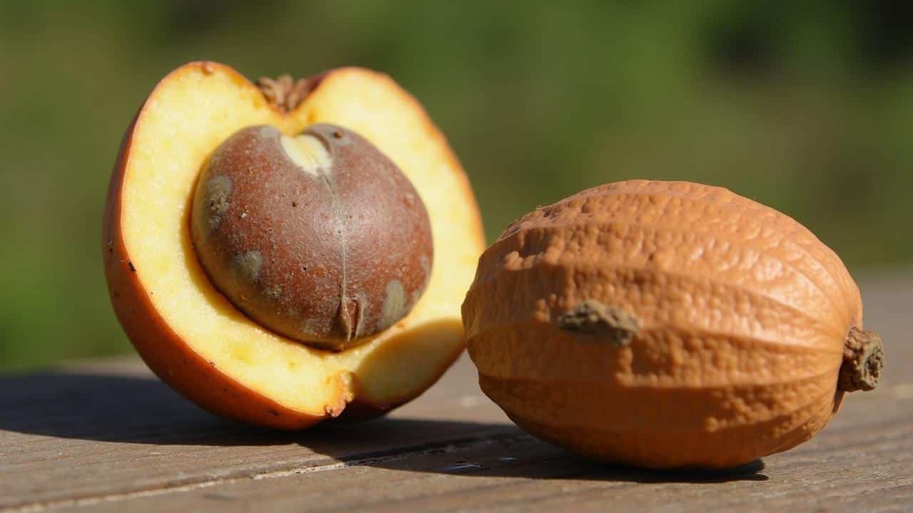 A co jeśli jedzenie kakao obniża wiek biologiczny? To nowy trop naukowców z Londynu