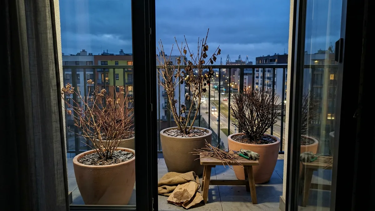 3 krzewy mrozoodporne do ogrodu, które kwitną mimo zimy do −30°C