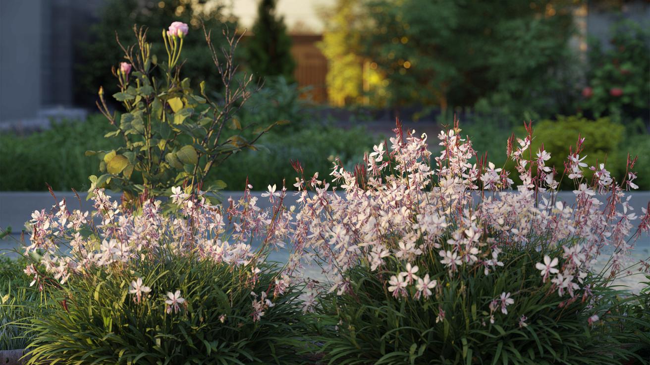 Zapomnij o różach: ta niezwykła bylina kwitnie nawet 8 miesięcy i nie wymaga specjalnej pielęgnacji